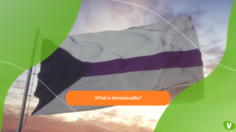 demisexual flag