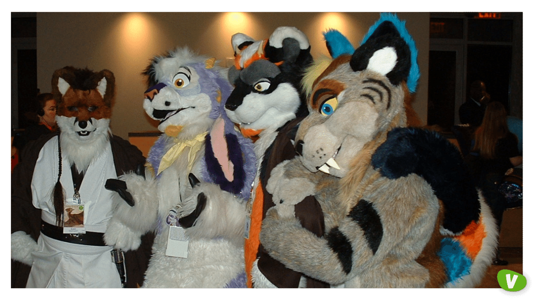 a group of furries