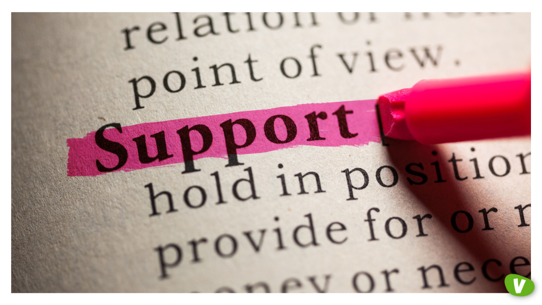 A close-up of a dictionary page with the word ‘Support’ highlighted in pink by a marker.